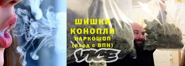 сатива Абинск