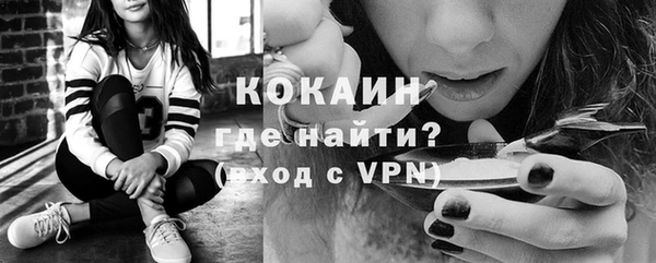 сатива Абинск