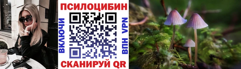 площадка наркотические препараты  Ильский  Псилоцибиновые грибы MAGIC MUSHROOMS 
