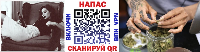 Шишки марихуана сатива  купить закладку  Ильский 
